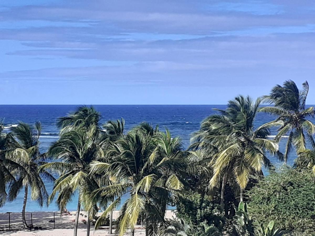 Studio Vue Sur Mer Le Moule Eksteriør bilde